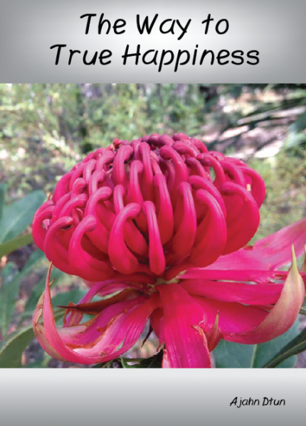 Download e-book The Way to True Happiness